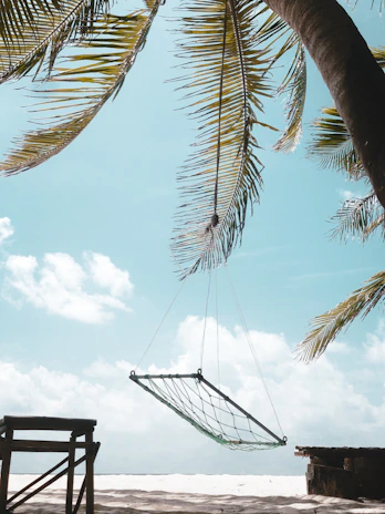 A hammock gently swaying between palm trees with the Caribbean Sea in the background.
