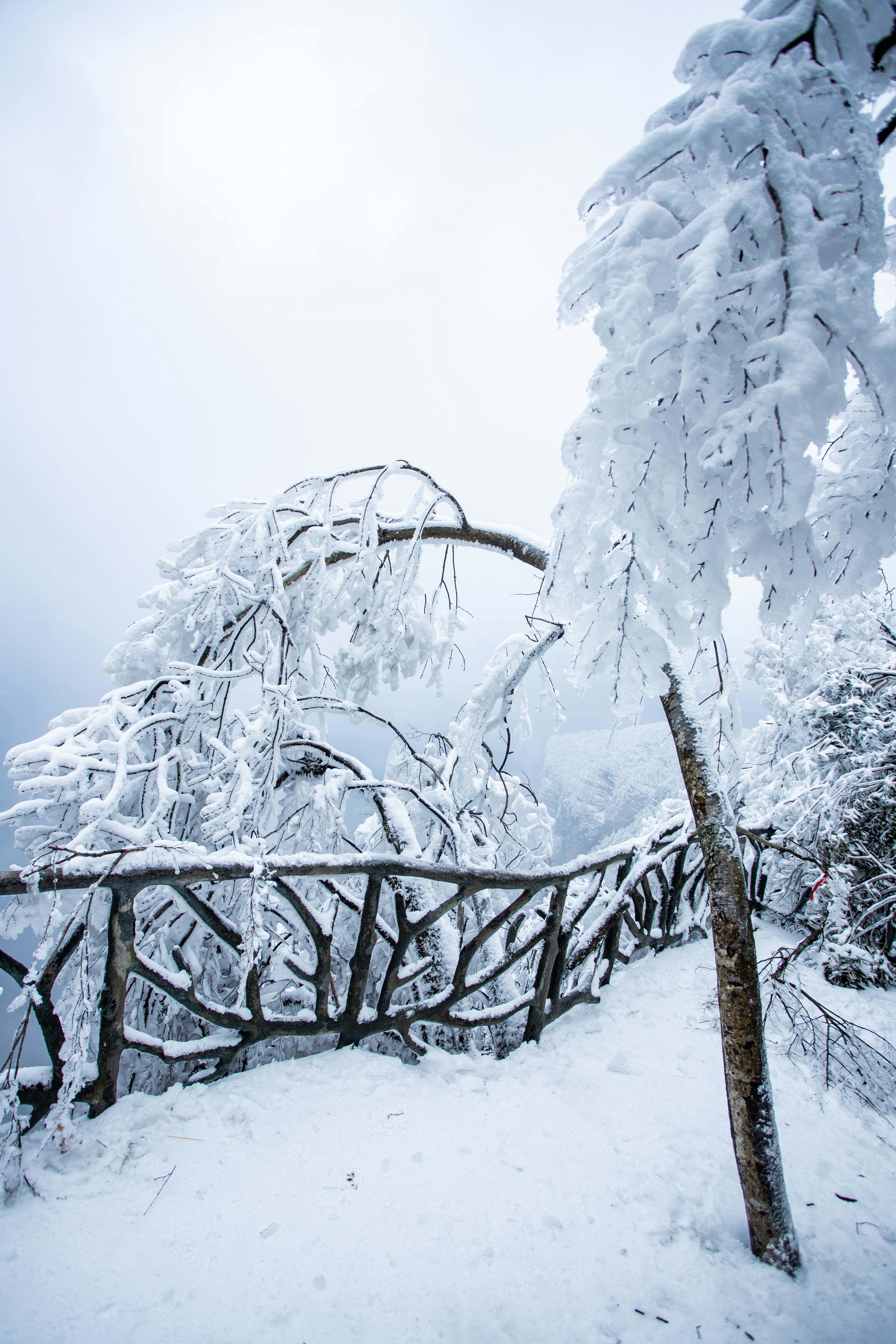 Photo by zhangzui