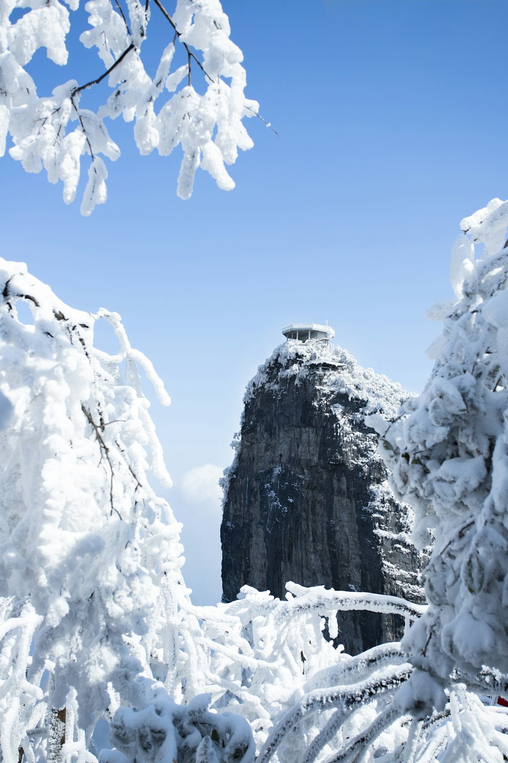 a tall mountain covered in snow next to trees