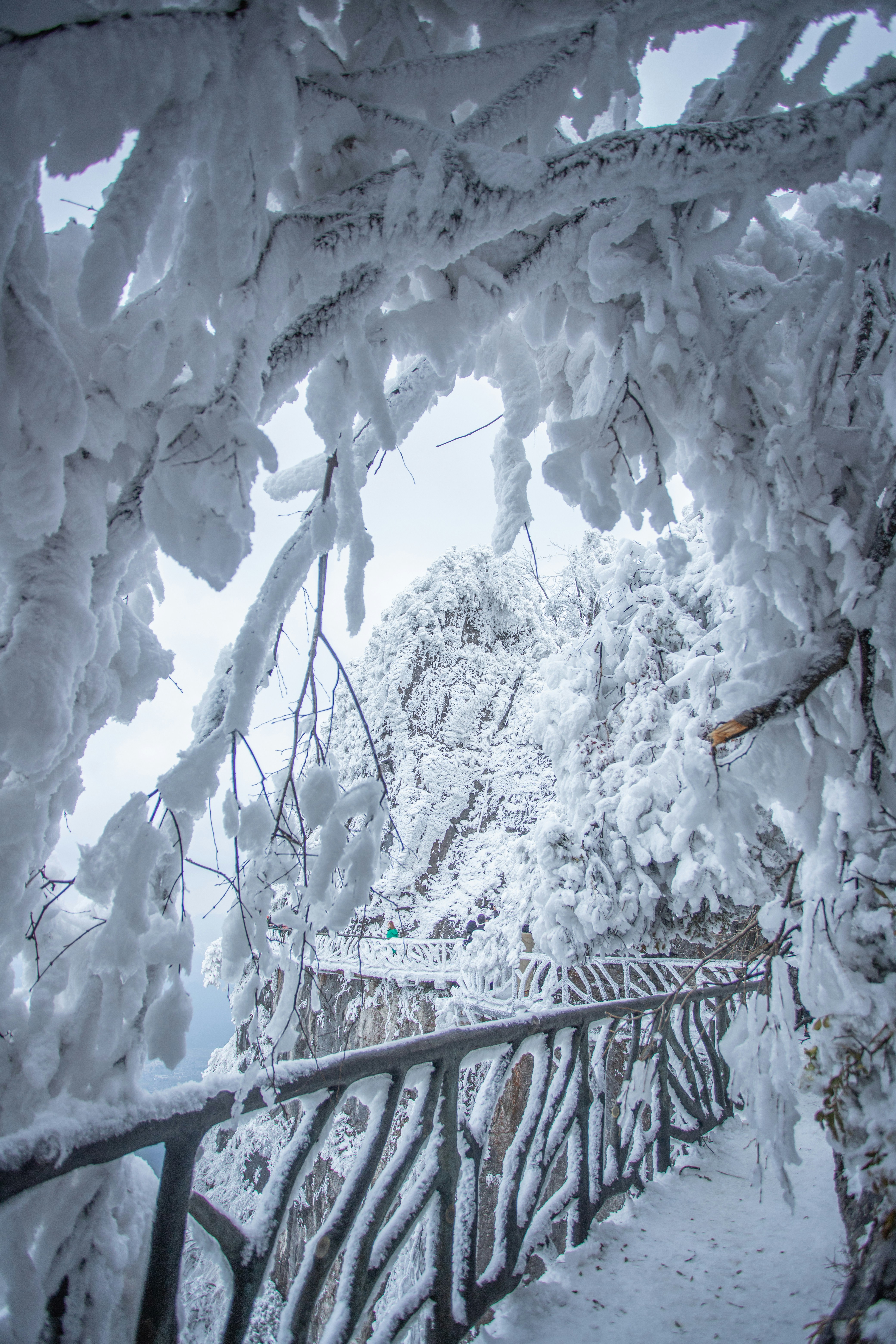Photo by zhangzui