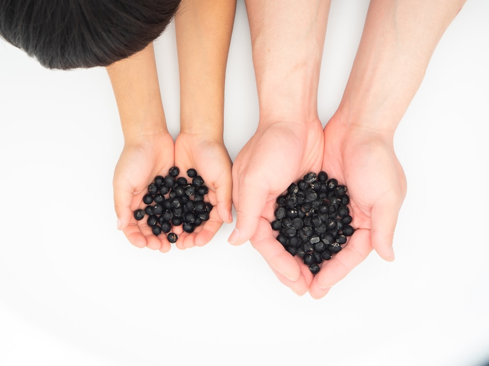 two hands holding a handful of black beans