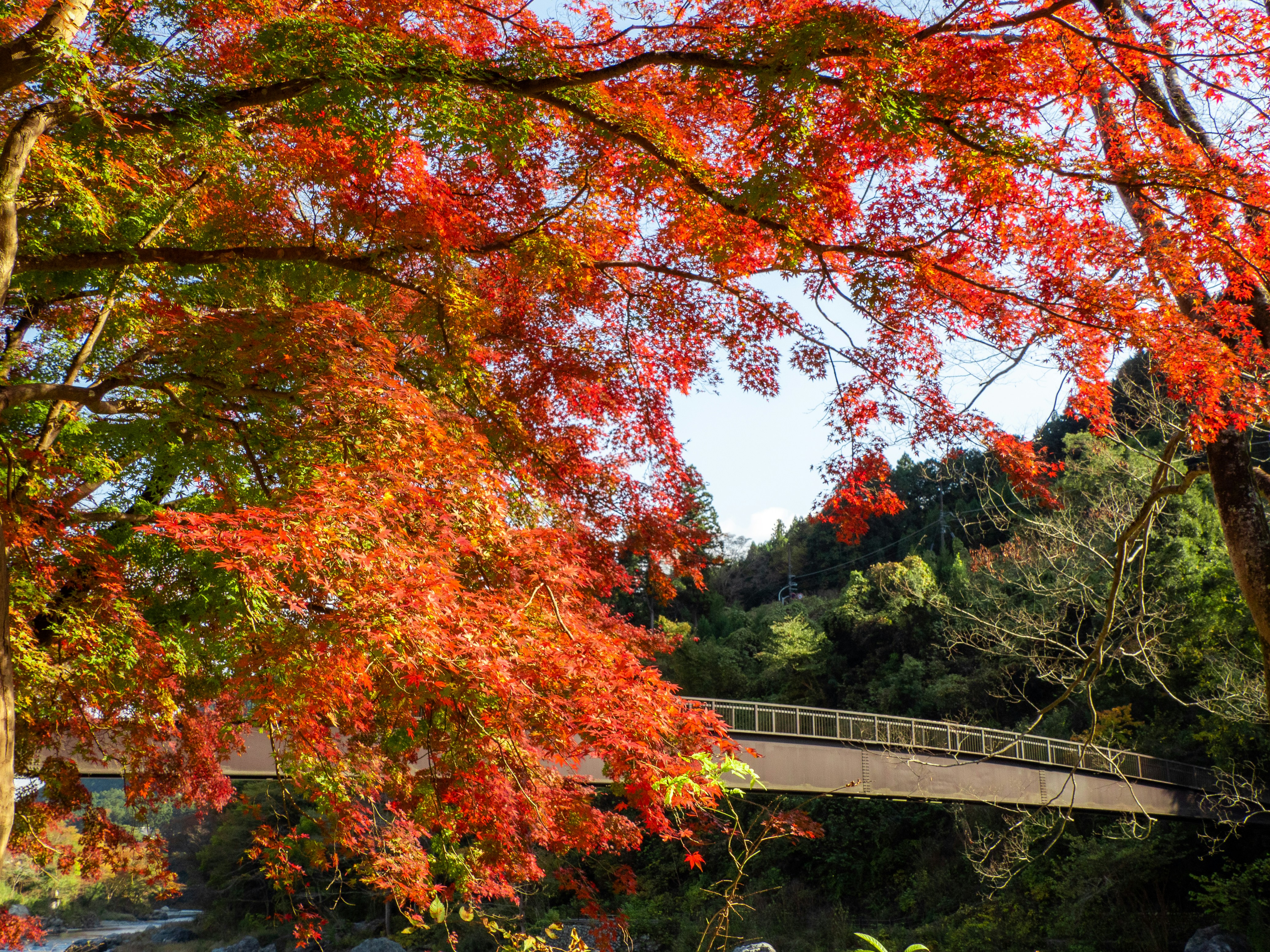 Ome Explored: Where Nature Unfolds Its Beauty Alongside History