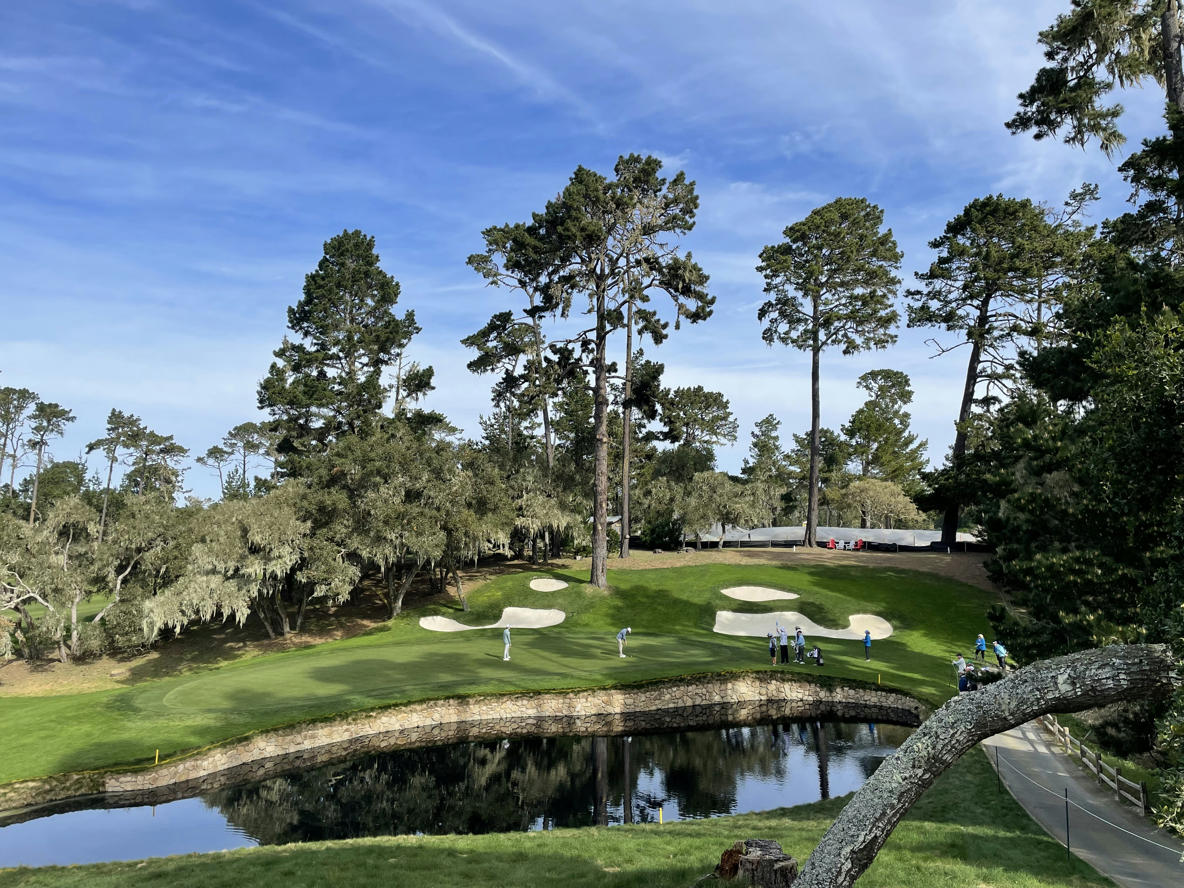 a golf course surrounded by trees and water