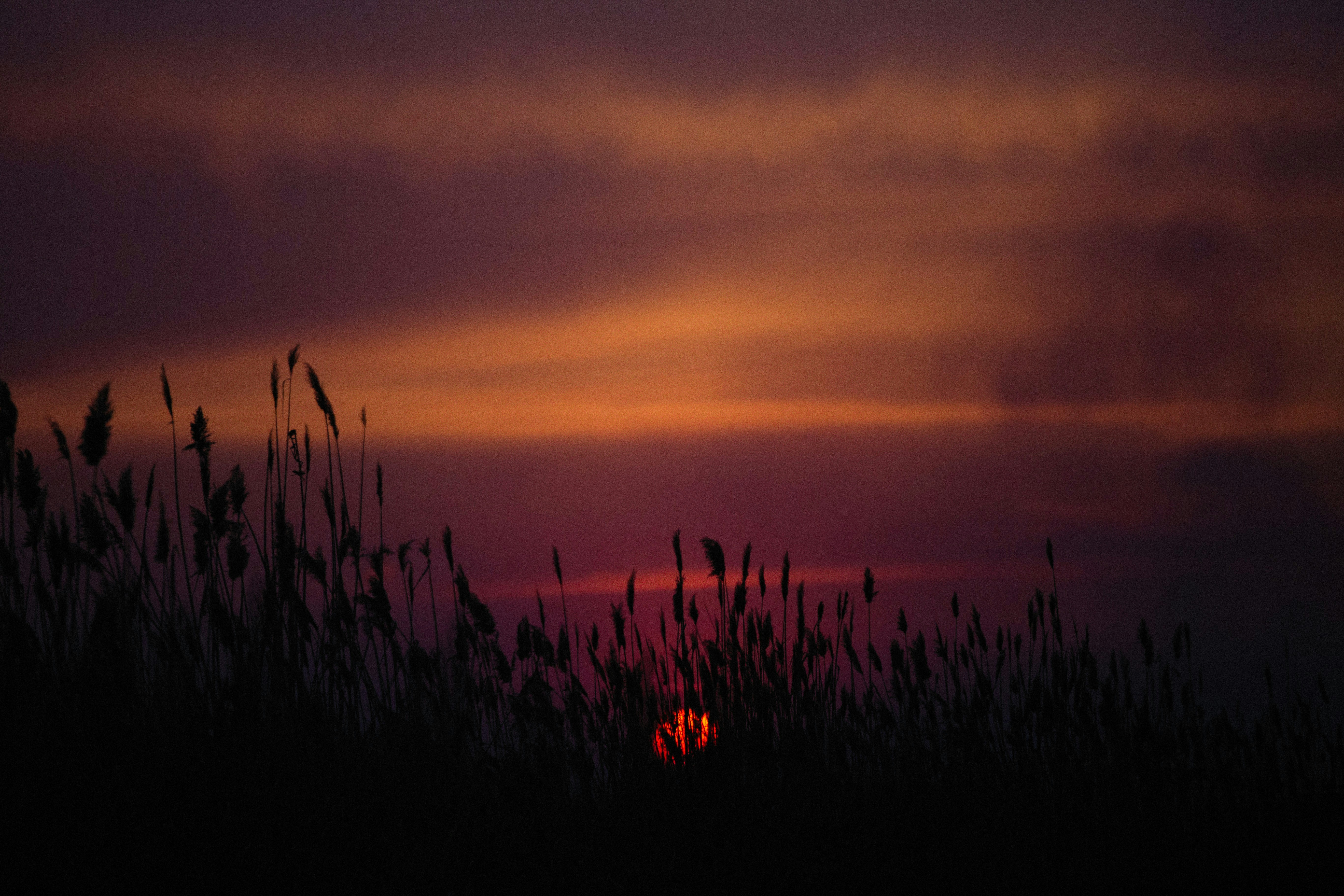 Photo by alexeydemidov