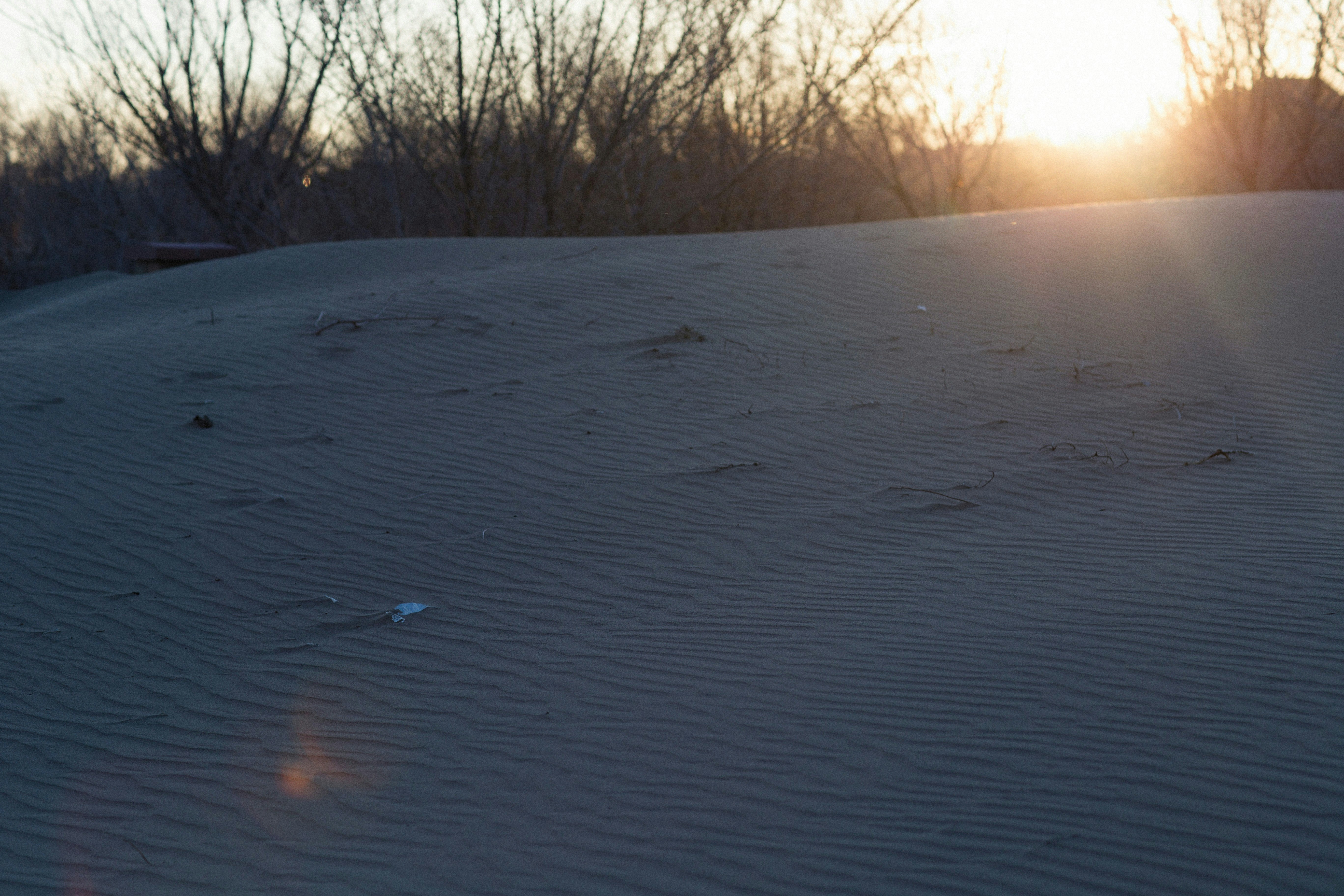 Photo by alexeydemidov