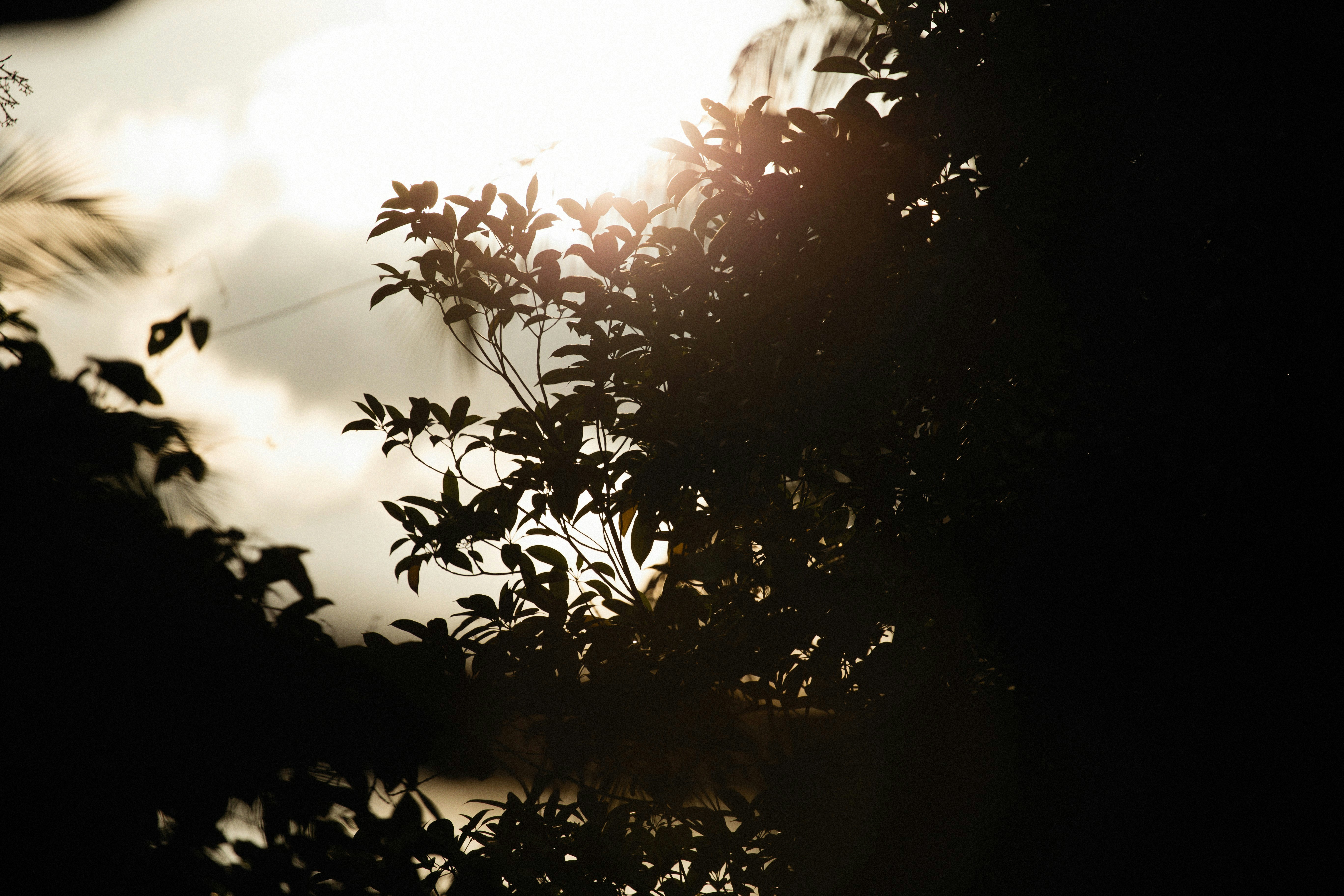 Photo by alexeydemidov