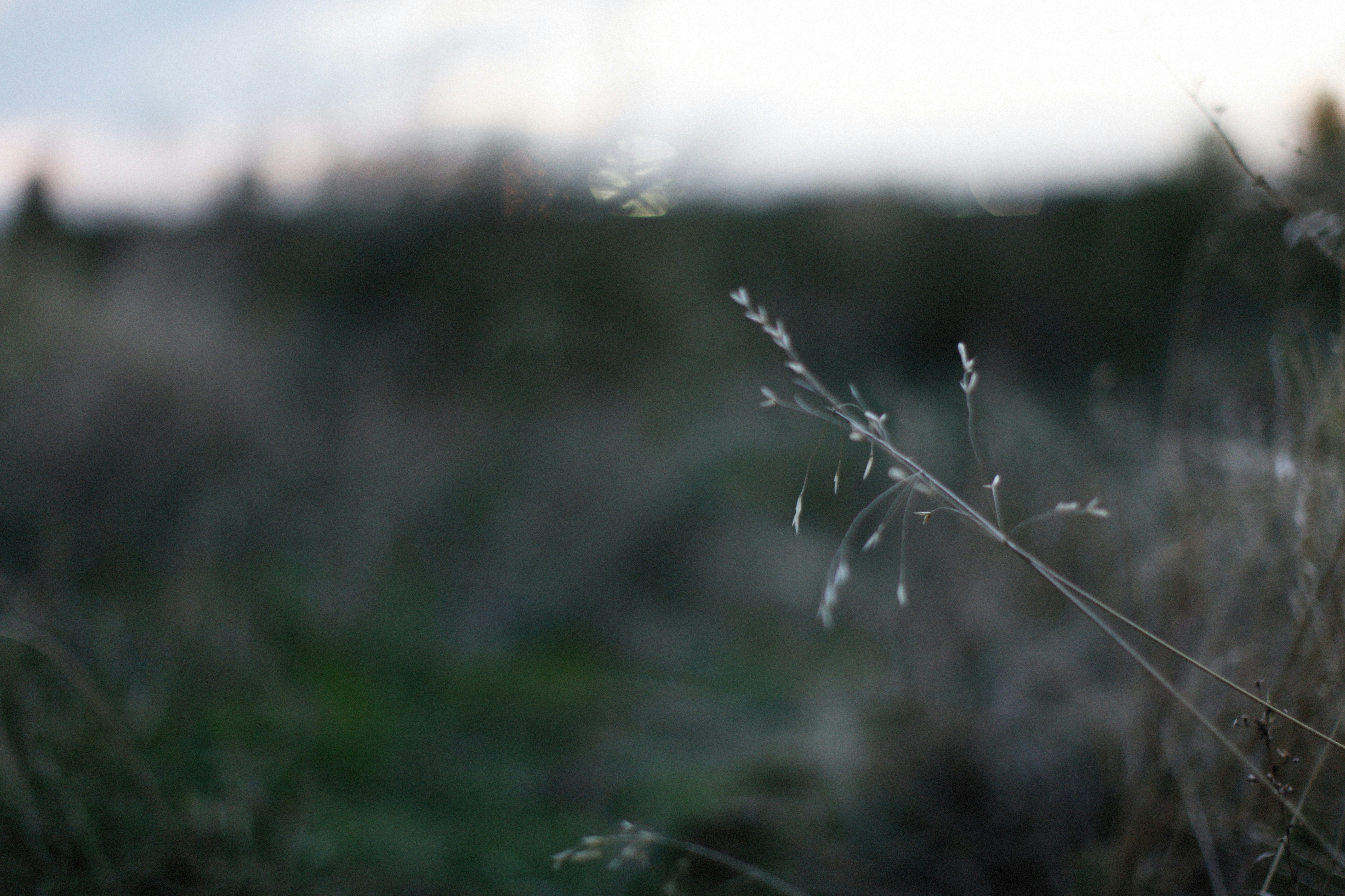 Photo by alexeydemidov