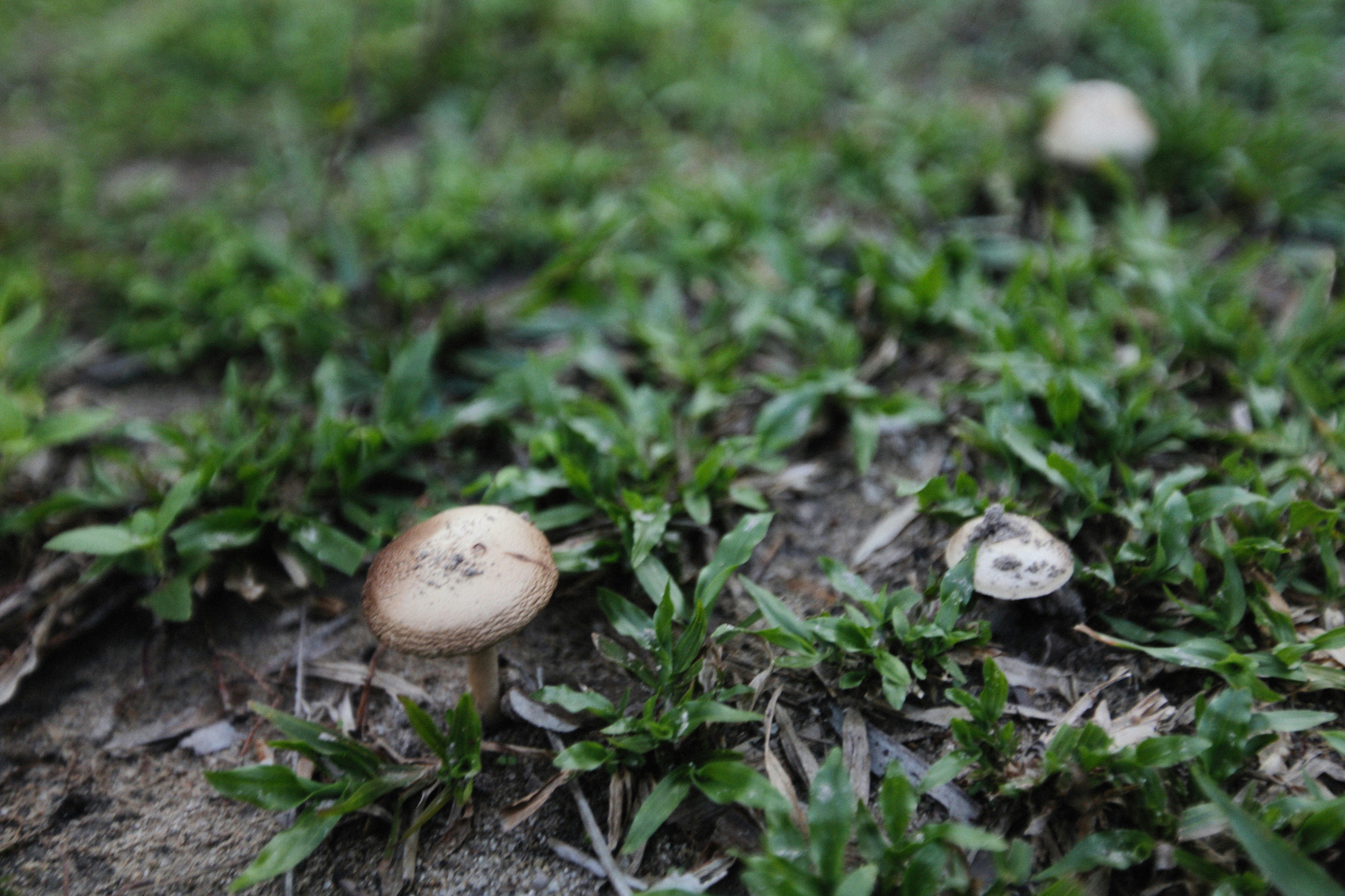 Photo by alexeydemidov