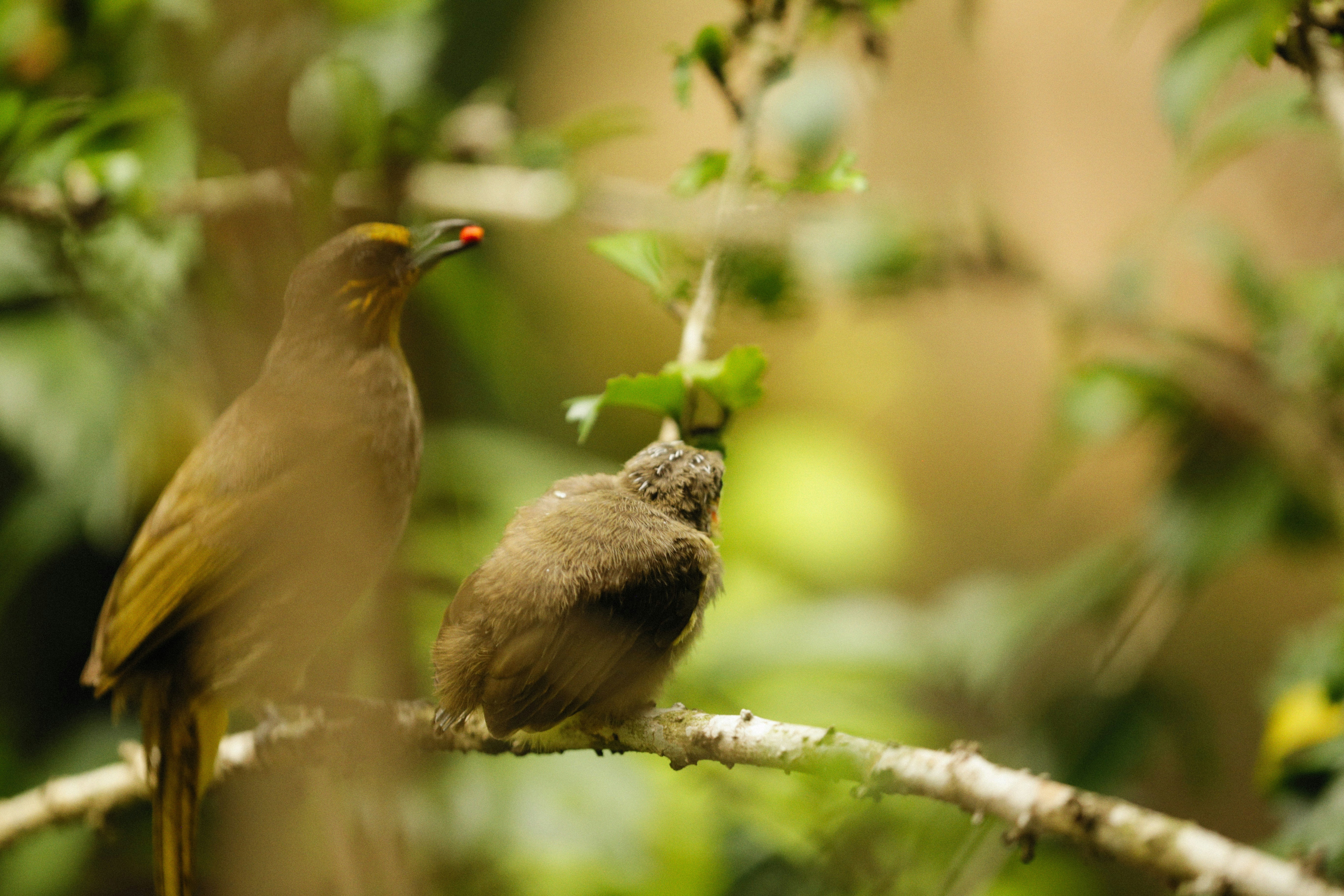 Photo by alexeydemidov