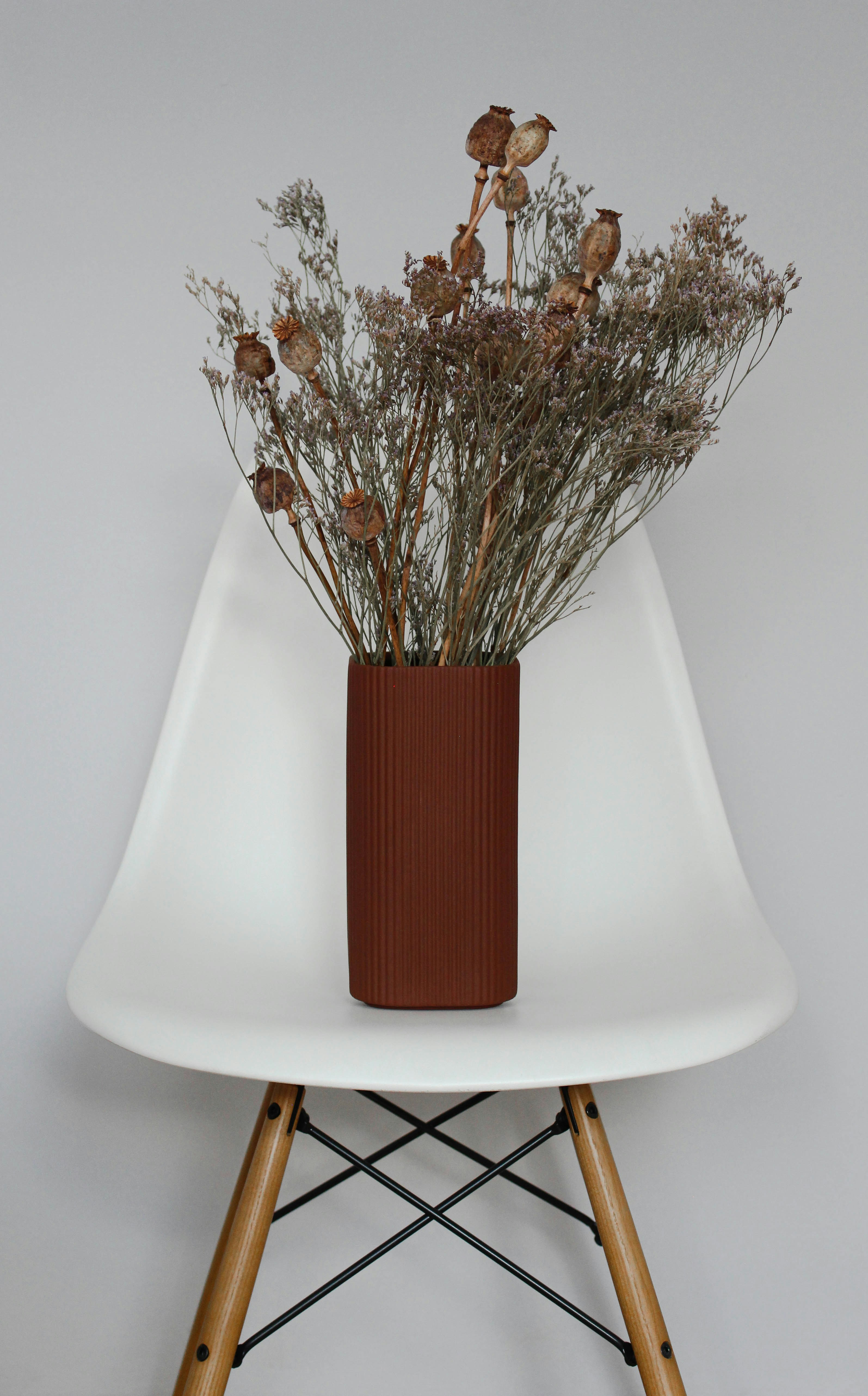 Photo by anna_c_wilhelm