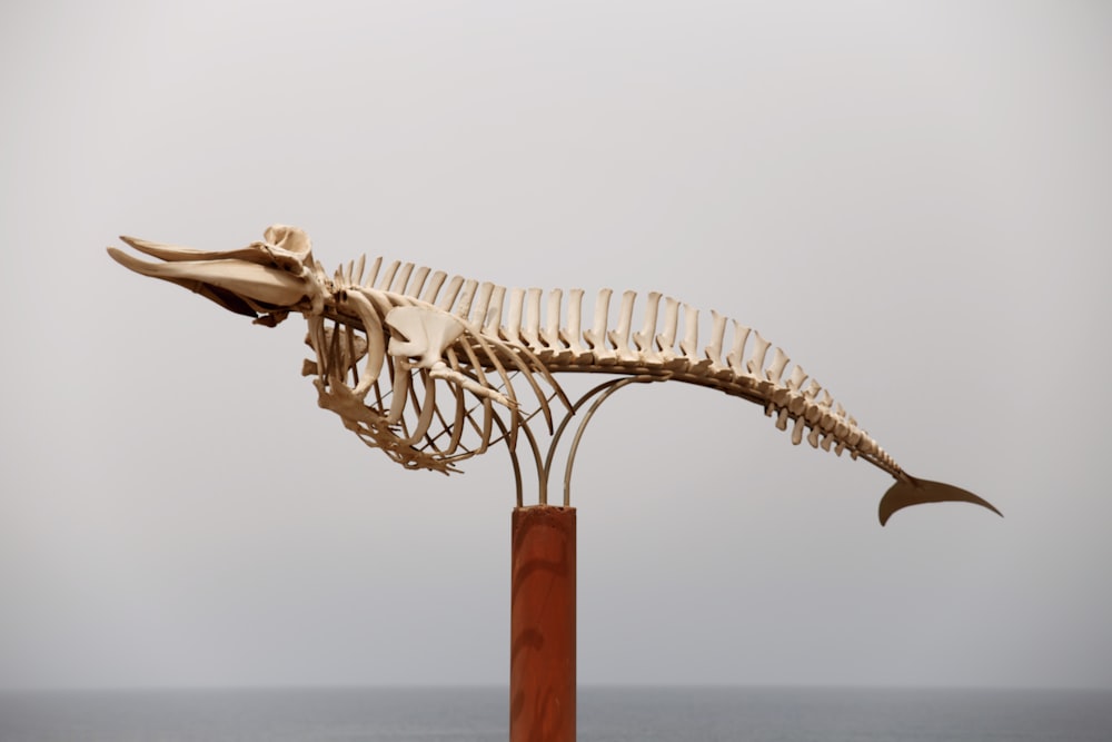 a skeleton of a fish on a pole