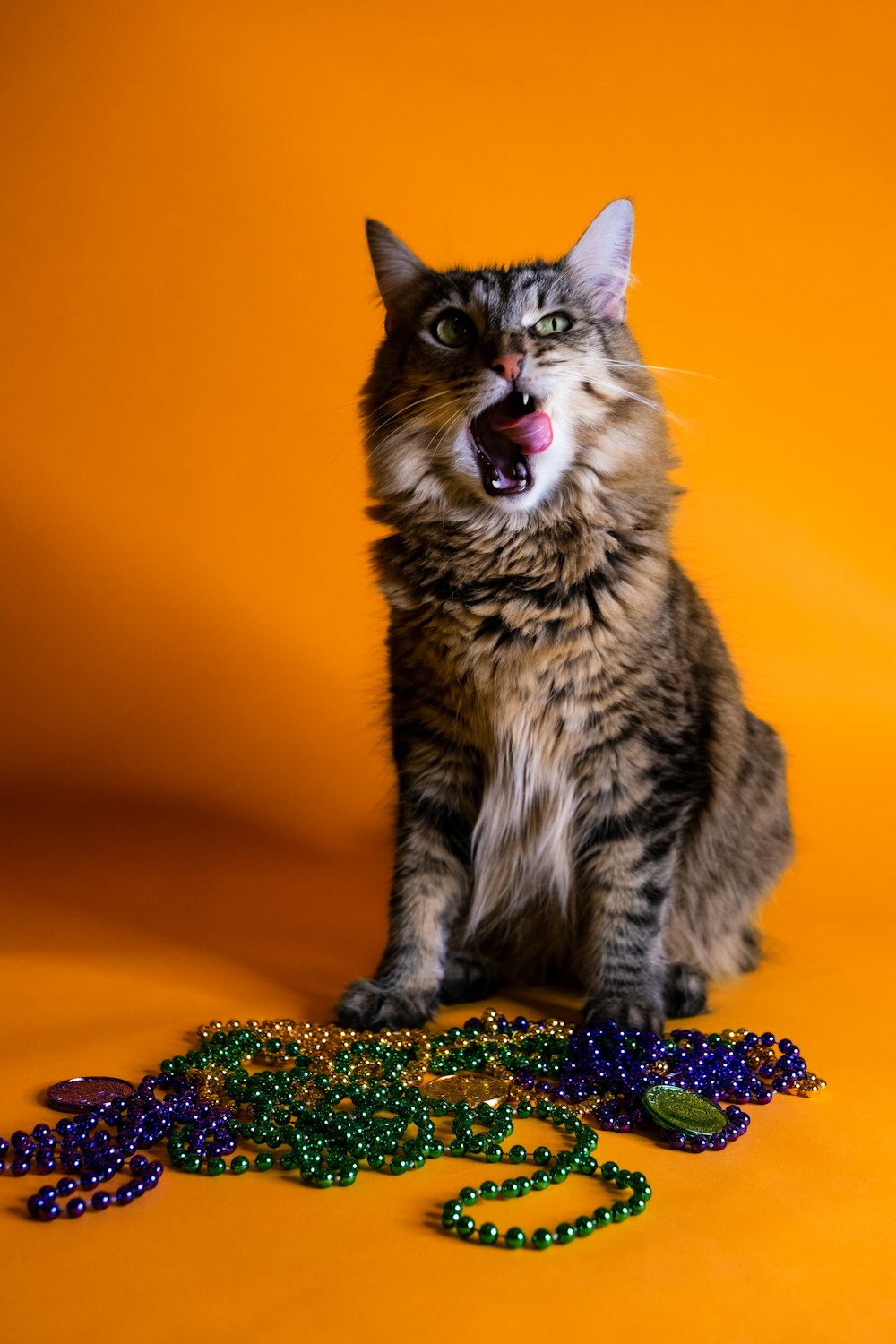 a cat with its mouth open sitting next to beads