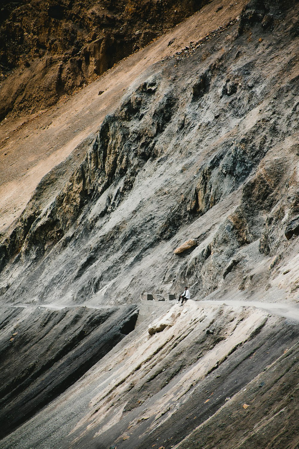 a group of animals standing on top of a rocky hillside