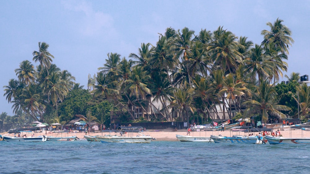 a group of boats floating on top of a body of water