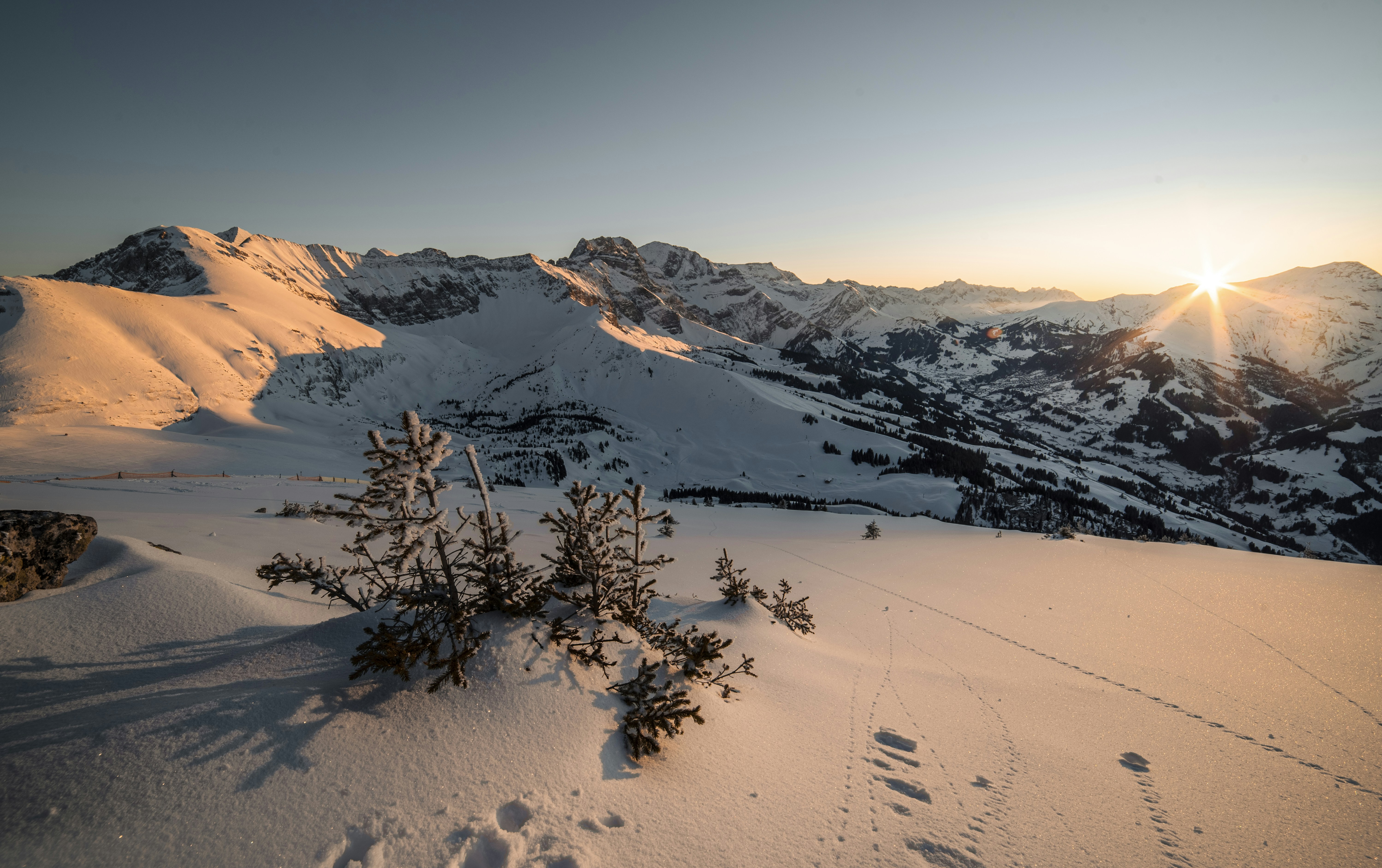 Photo by sven_pieren