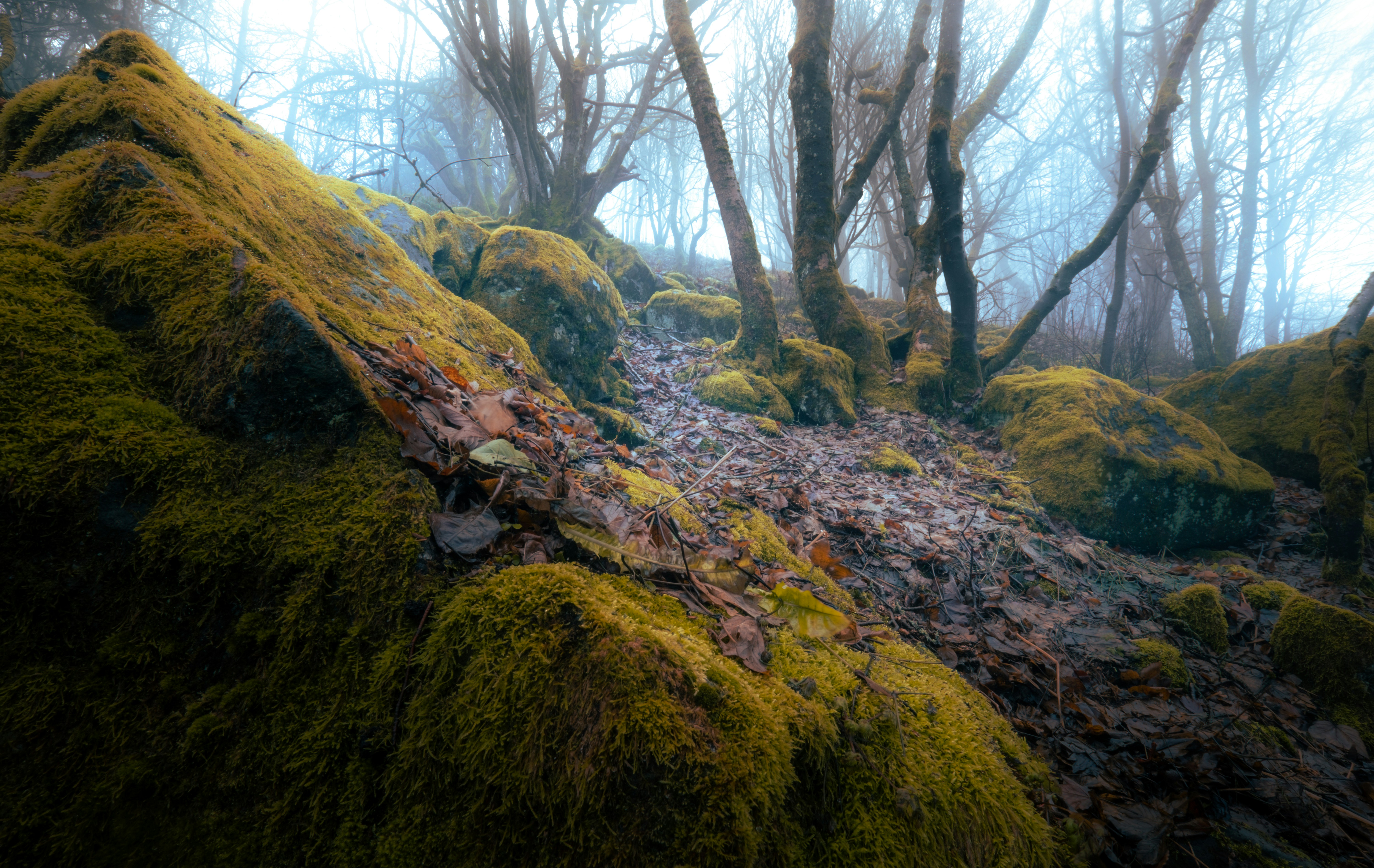 Photo by dimikolpa