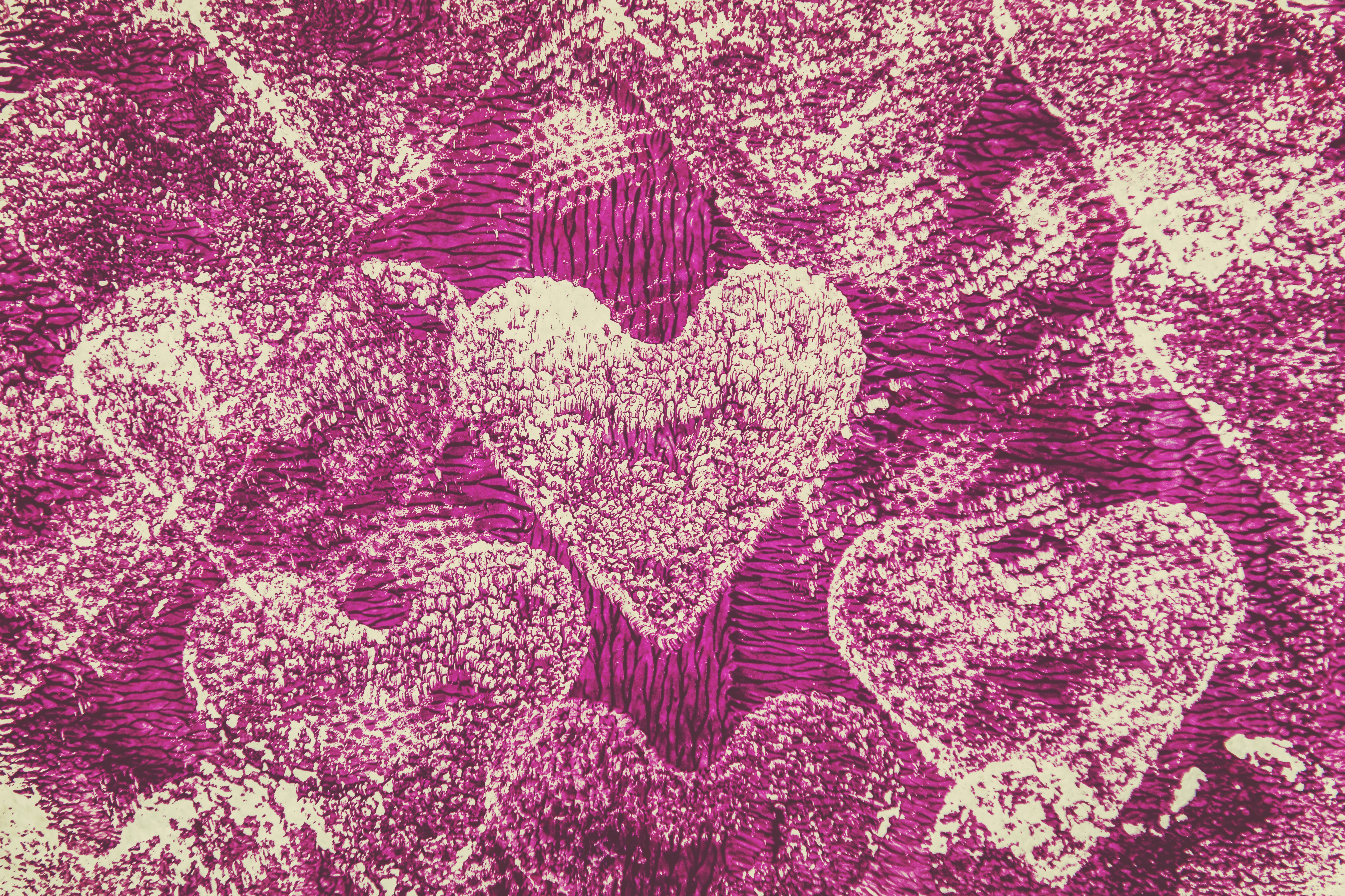 Photo by timmossholder