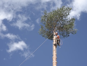 a man on a rope attached to a tree