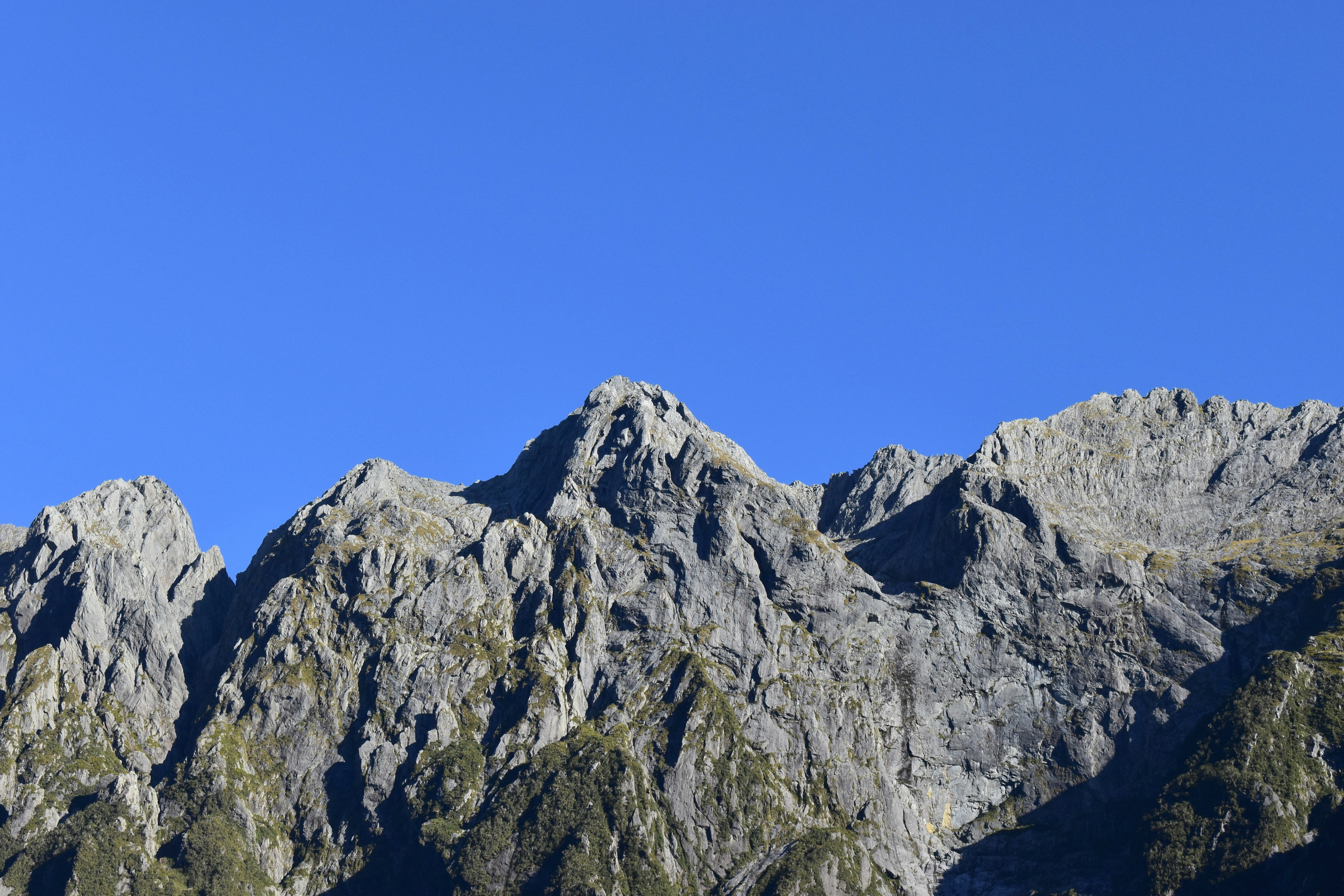 Photo by reese_harvey