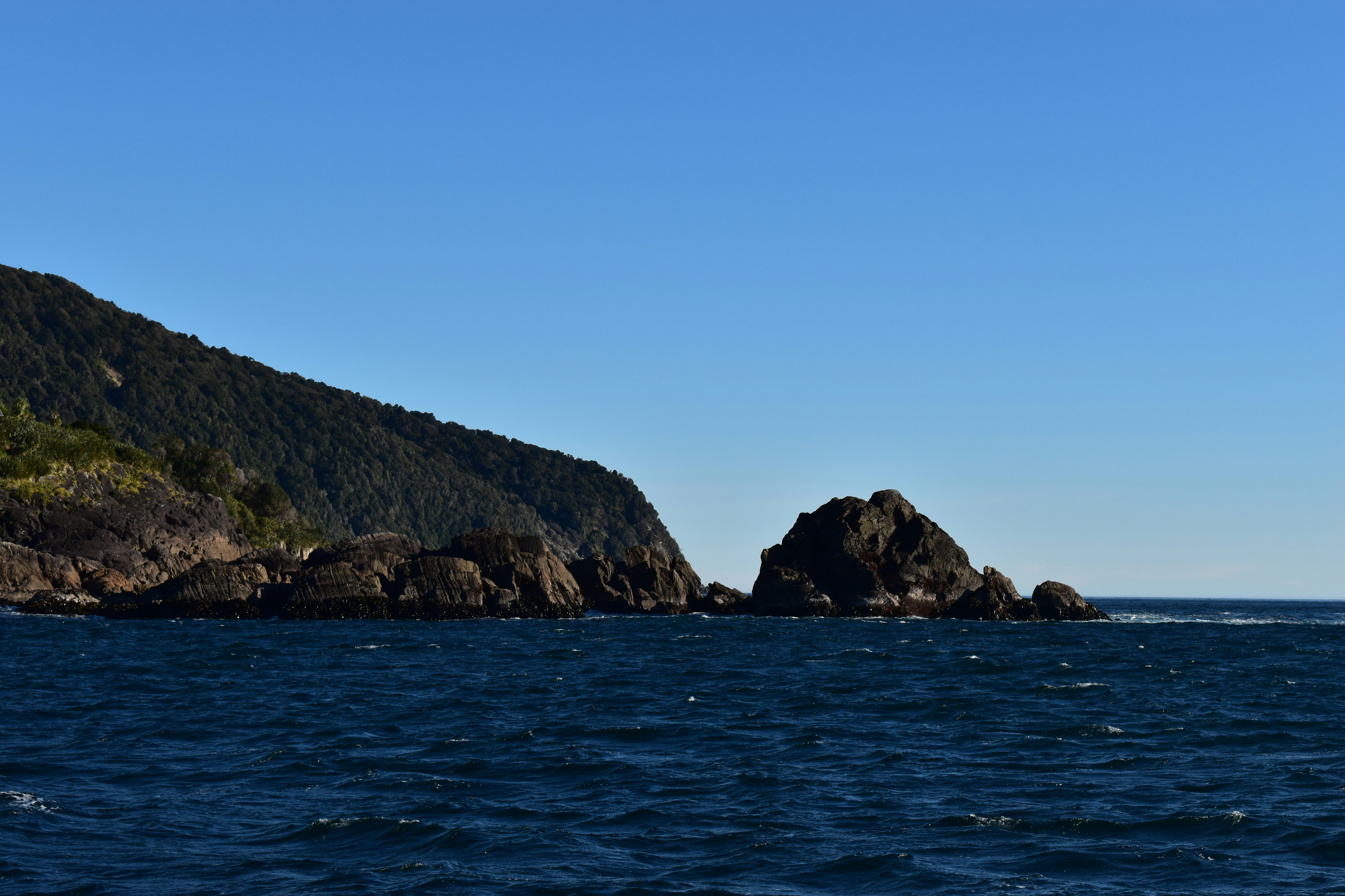 Photo by reese_harvey