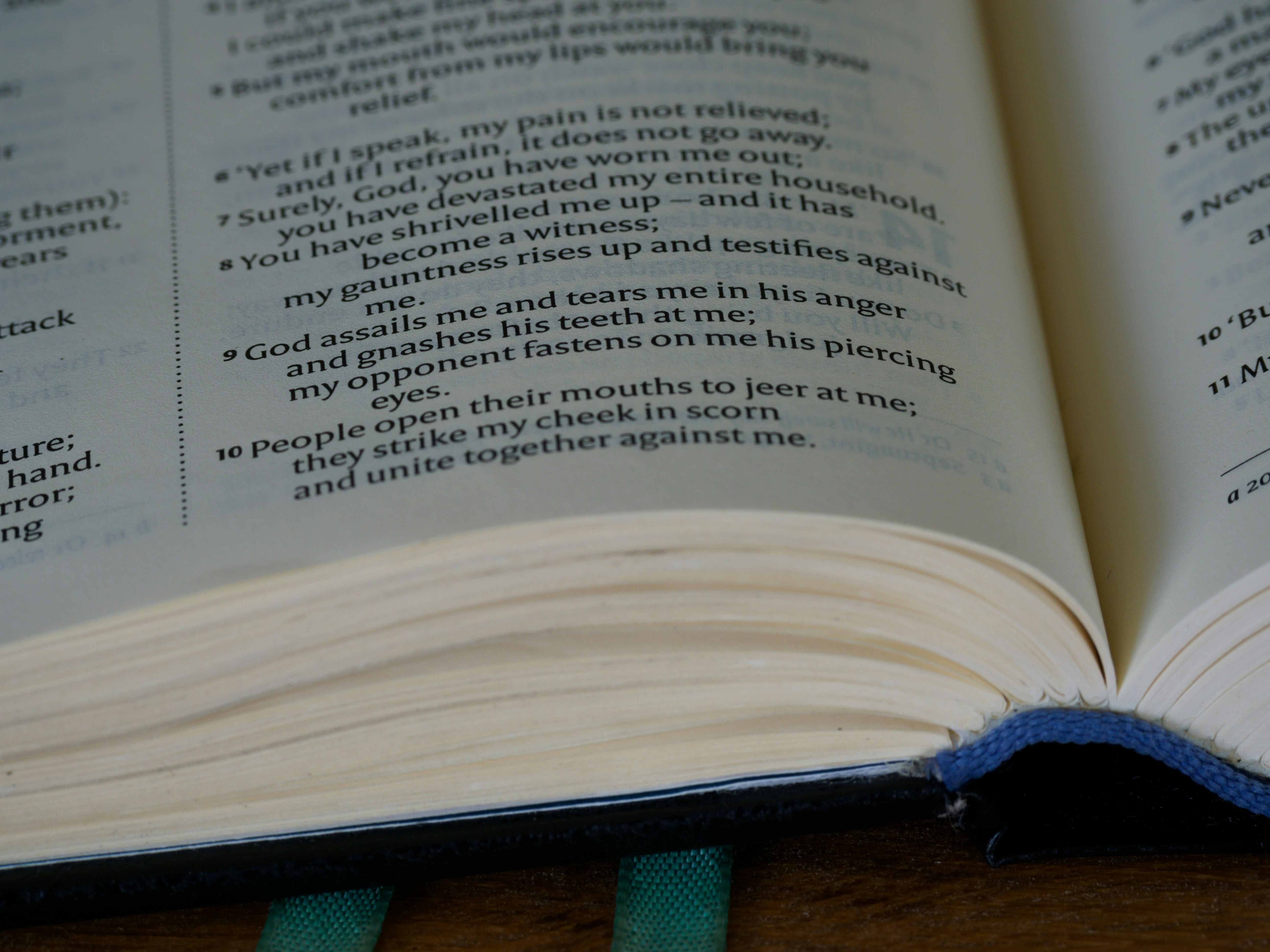 Photo by brett_jordan