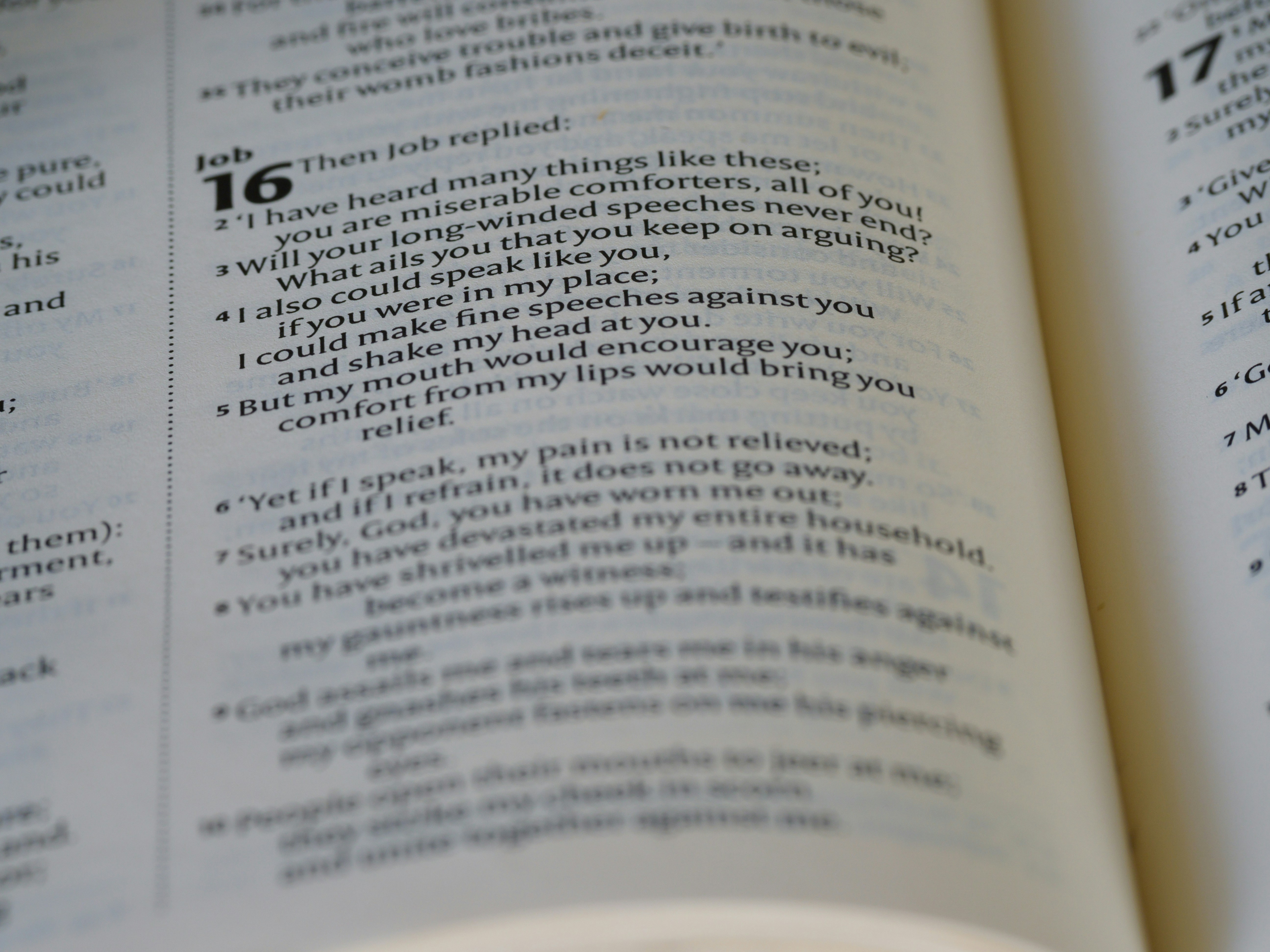 Photo by brett_jordan