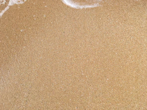 Close-up of the land’s edge meeting the sandy beach just yards away