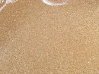 Close-up of the land’s edge meeting the sandy beach just yards away