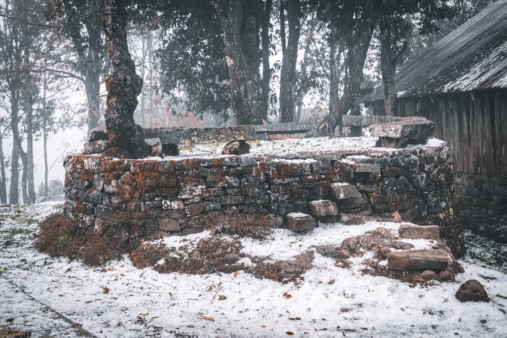 a stone wall in the middle of a snowy forest