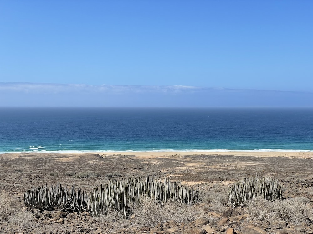 a view of a beach and the ocean from a hill