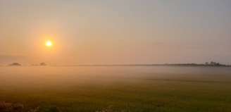A serene sunrise over a quiet Balinese rice terrace with mist rolling in.