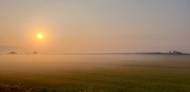 A serene sunrise over the camp’s rolling hills, with mist gently rising from the fields.
