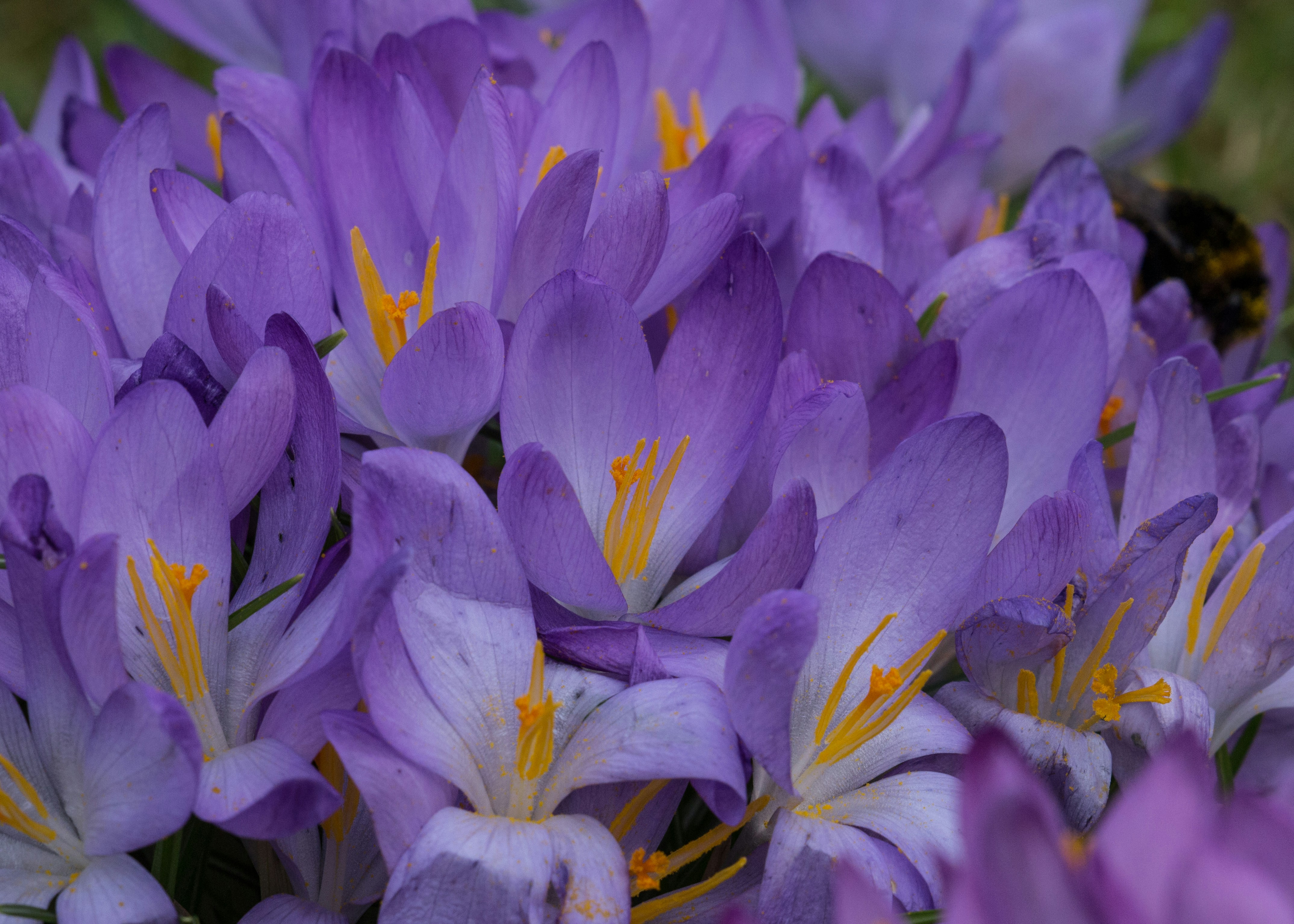 Photo by kevinhessey