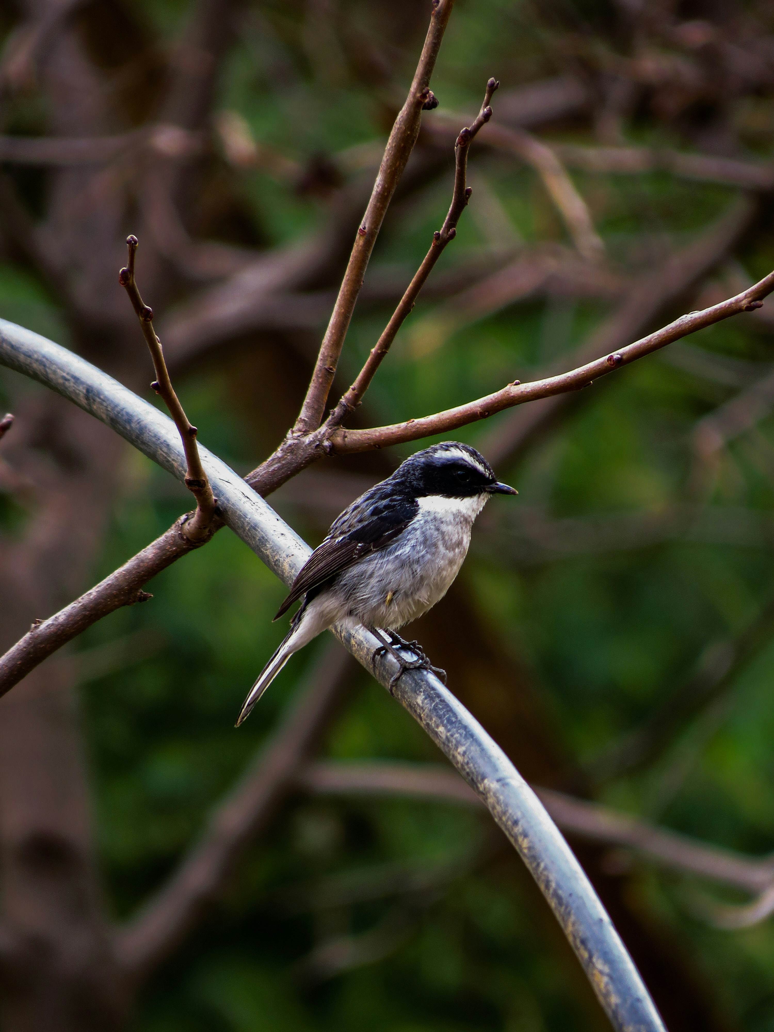 Photo by raghavkalia