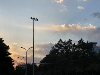 A city street illuminated by innovative lampposts during twilight.