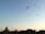 Several hot air balloons float gently across a clear blue sky during sunrise or sunset, with ancient temples and lush greenery visible on the ground below.