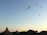 A golden hot air balloon gently floating over the ancient Luxor temples at dawn.