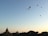 Several hot air balloons float gently across a clear blue sky during sunrise or sunset, with ancient temples and lush greenery visible on the ground below.