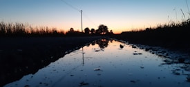A reflective puddle stretches along a dirt path, mirroring the surrounding scenery under a colorful sunset. Tall grass borders the path on both sides, with silhouettes of trees visible in the distance against a vibrant gradient of orange and blue sky. A power line runs above the scene, adding a linear element to the landscape.