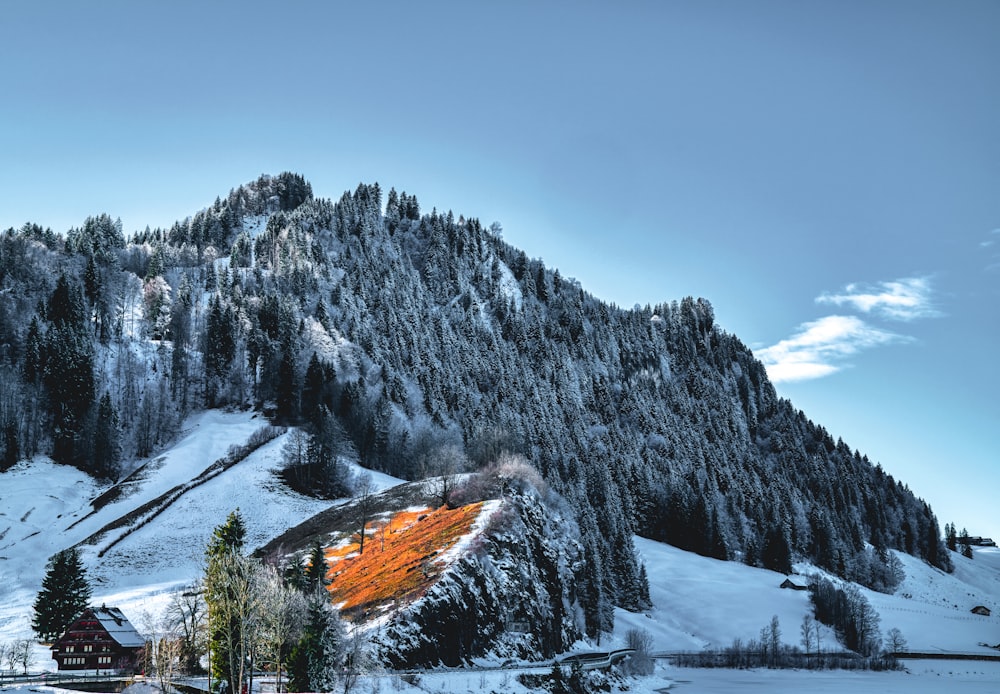 Una montagna coperta di neve con una casa in primo piano