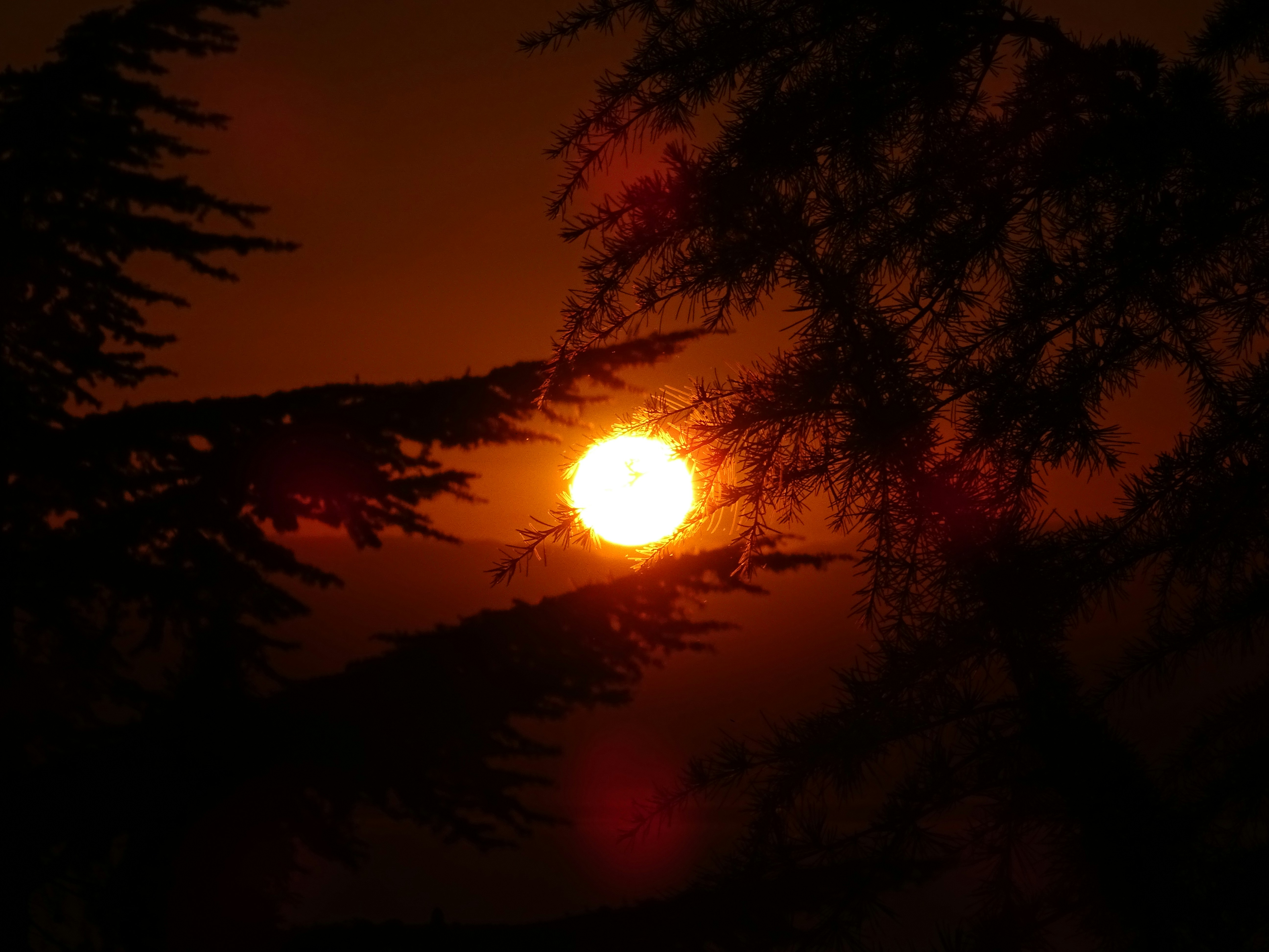 Photo by georgediama_exe