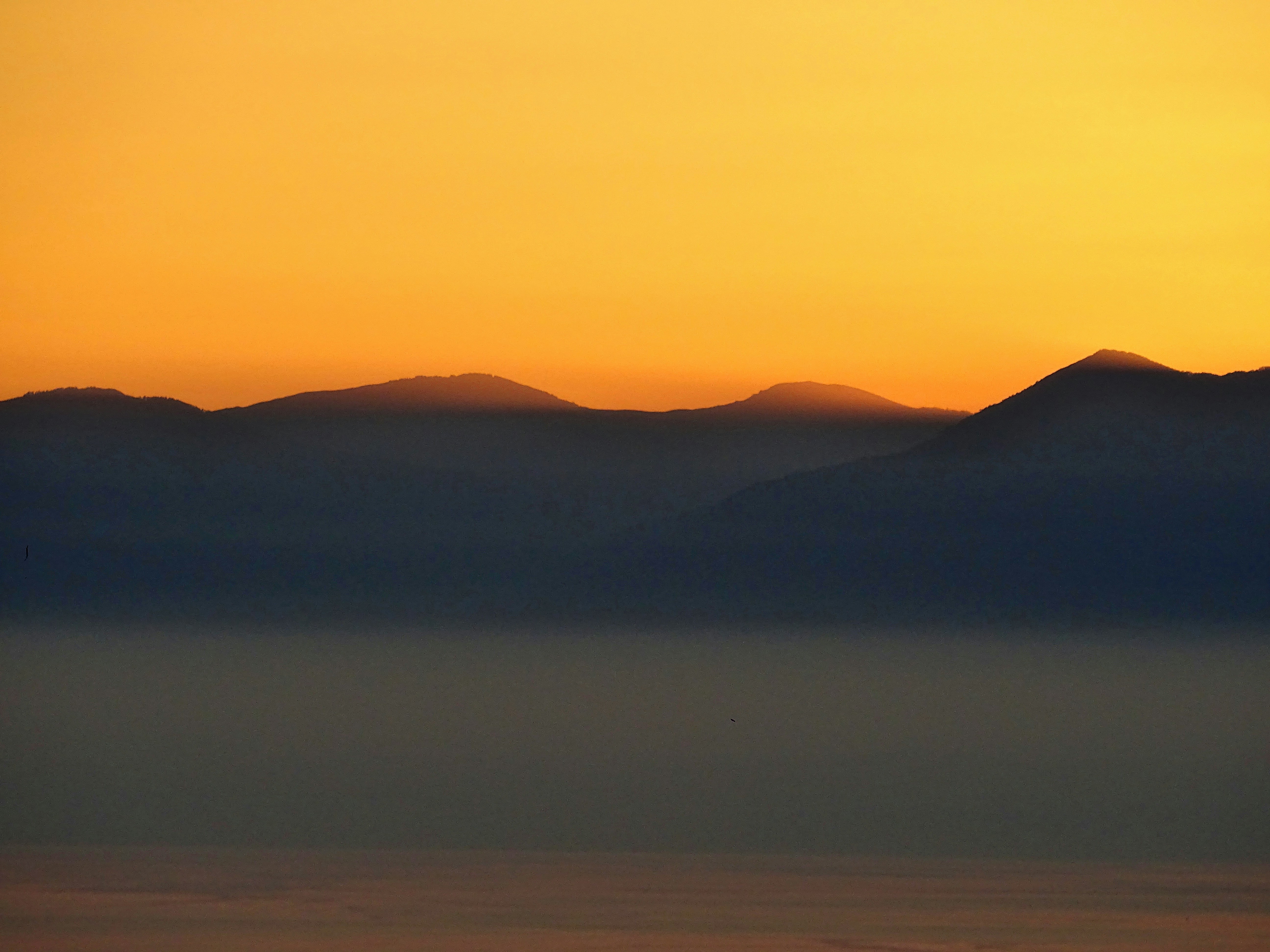 Photo by georgediama_exe