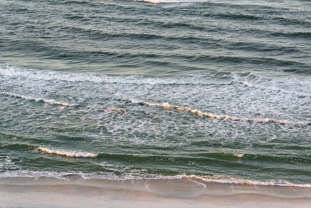 a couple of people riding surfboards on top of a body of water