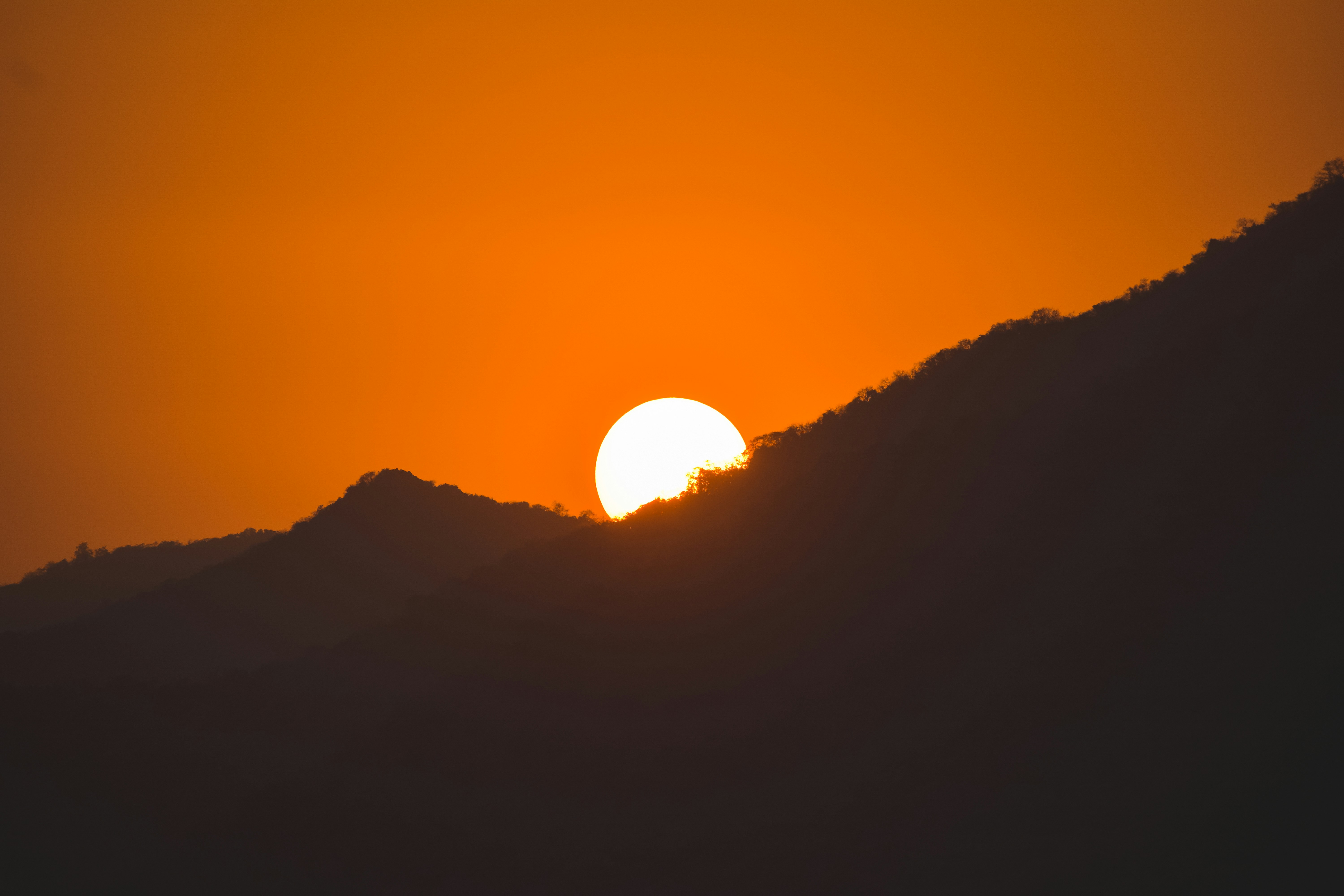 Photo by navi_photography