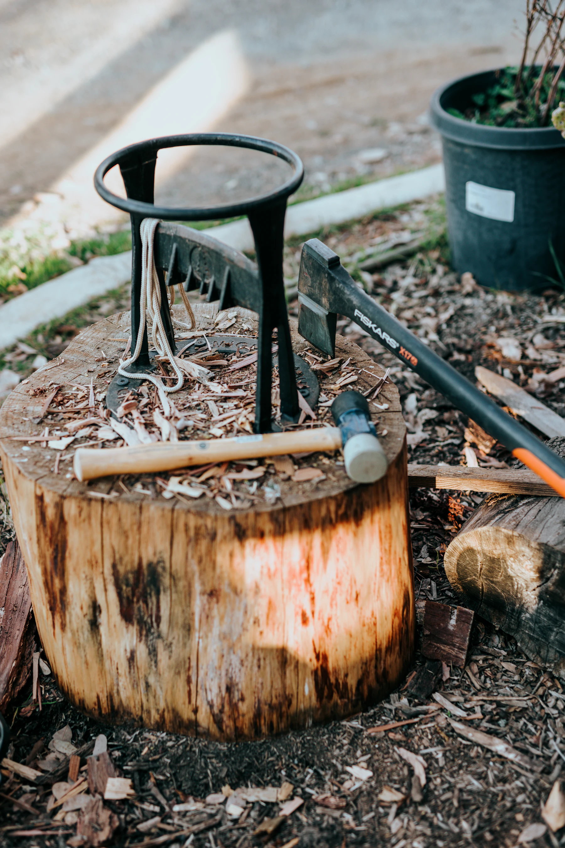 Tree stump with hand tools used for outdoor tree work