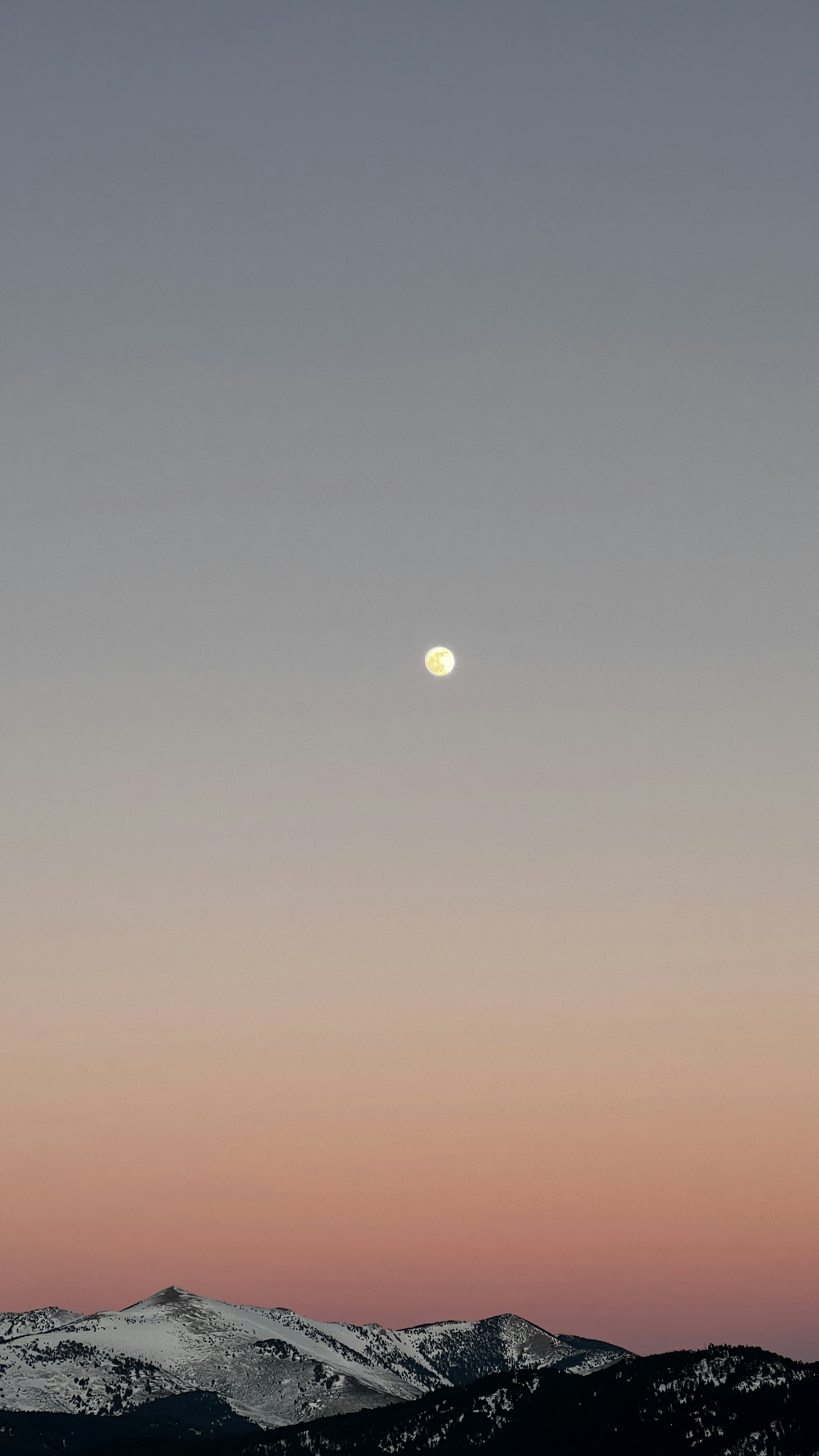 Photo by janakowalewicz