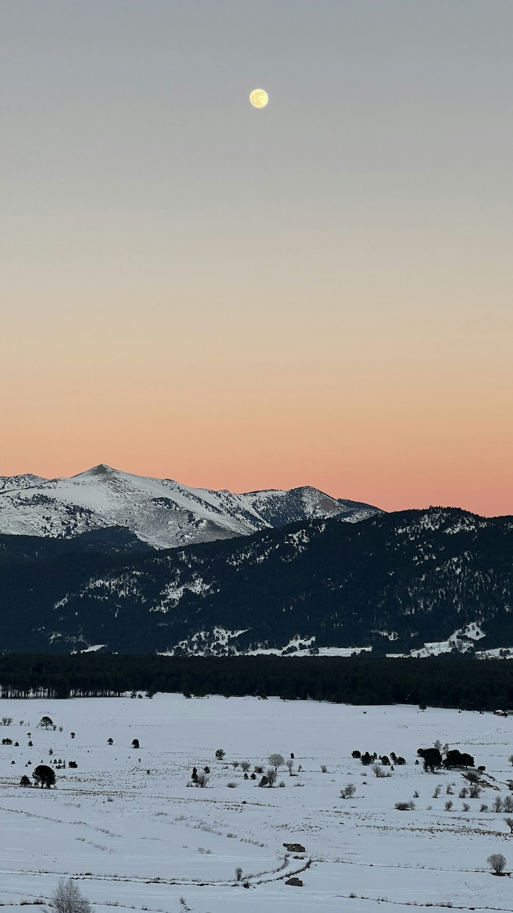 a snowy landscape with mountains in the background