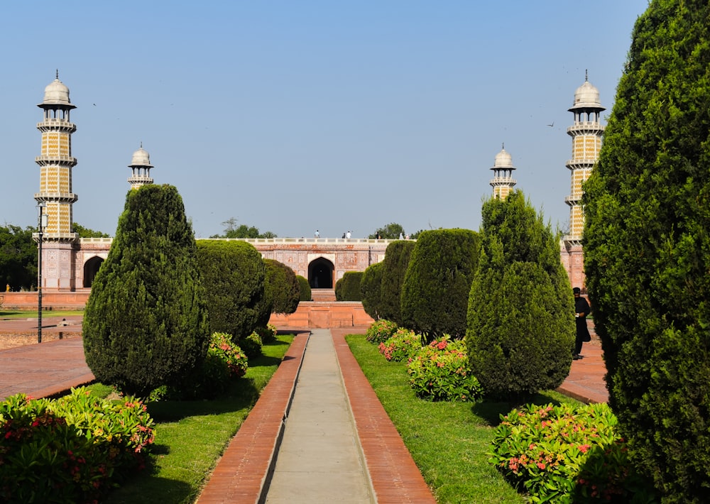 a walkway in the middle of a garden