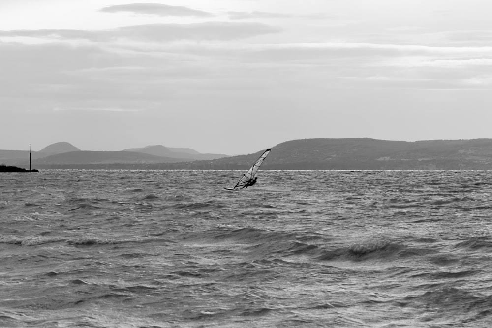 a bird flying over a body of water