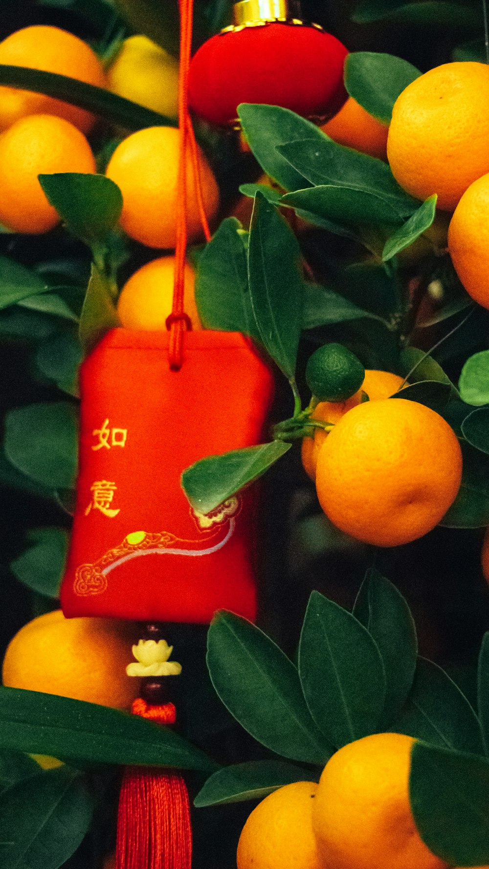 오렌지로 가득 찬 나무에 매달린 빨간 가방